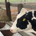 まずは列車に乗ろう